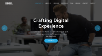 B2B营销软件公司网站模板 Bootstrap4