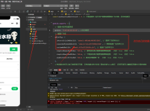 2025最新去水印小程序 免服务器 带流量主和安装教程