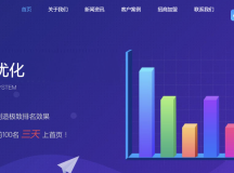 seo快排网站模板 大气的IT网络软件公司网站源码