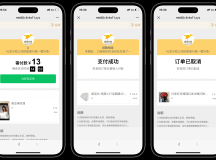 美团代付可对接易支付版源码